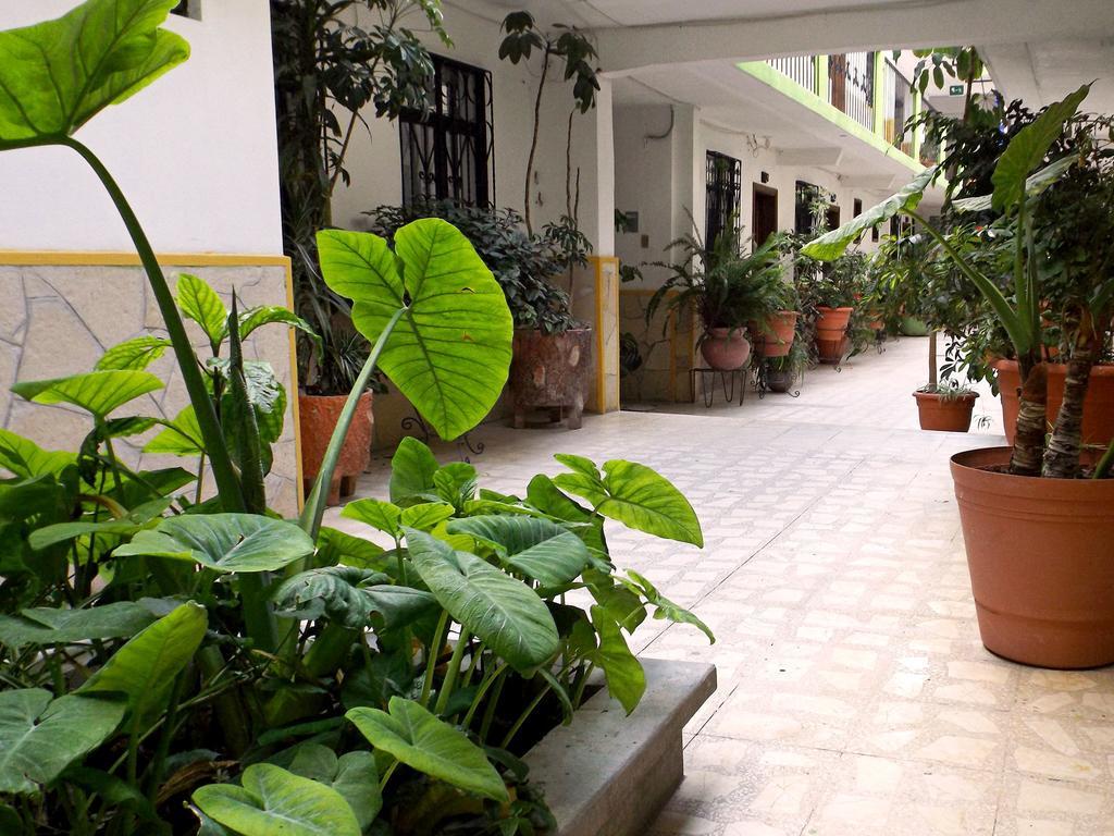 Hotel Posada Las Casas San Cristóbal de Las Casas Kültér fotó